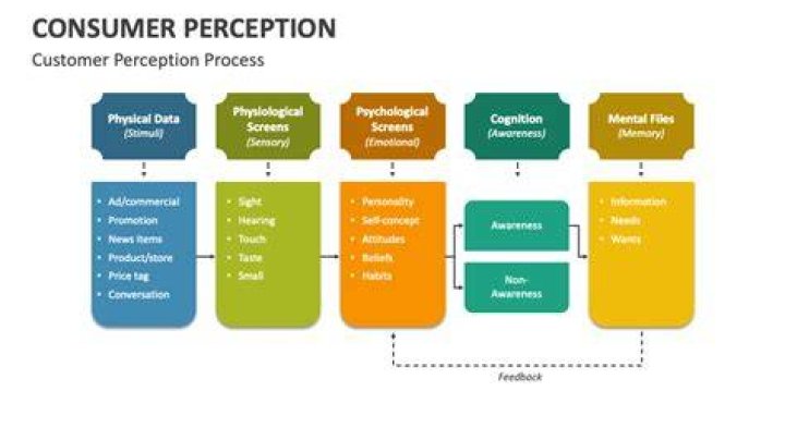 What is perception in consumer Behaviour PDF?