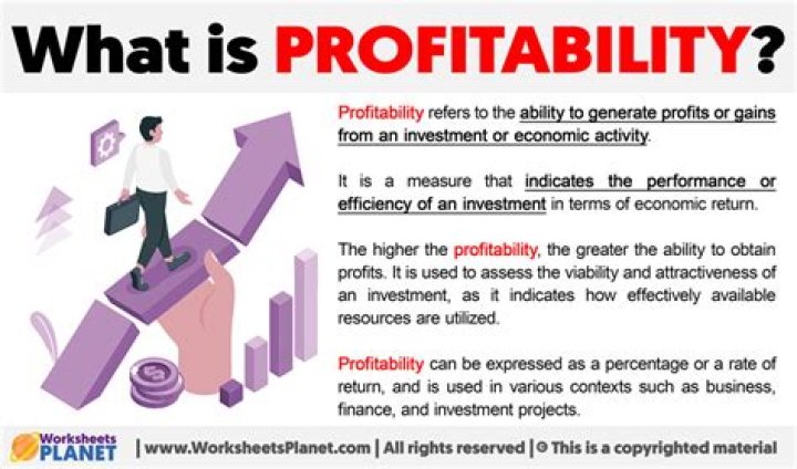What is profitability of a business?