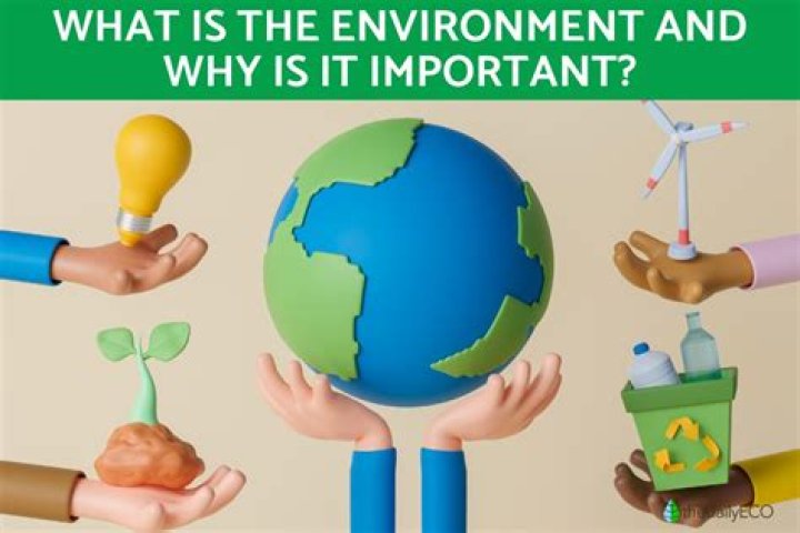 What is rennet and why is it important?