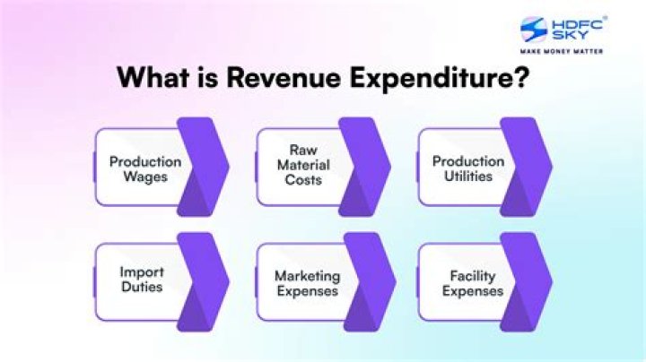 What is revenue expenditure and examples?