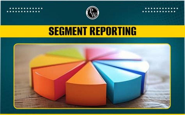 What is segment reporting discuss the provisions relating to segment reporting?
