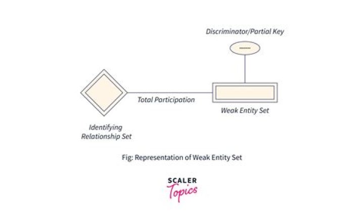What is separate entity concept with example?