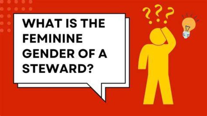 What is steward feminine gender?