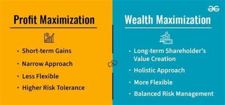What is stockholder wealth maximization?