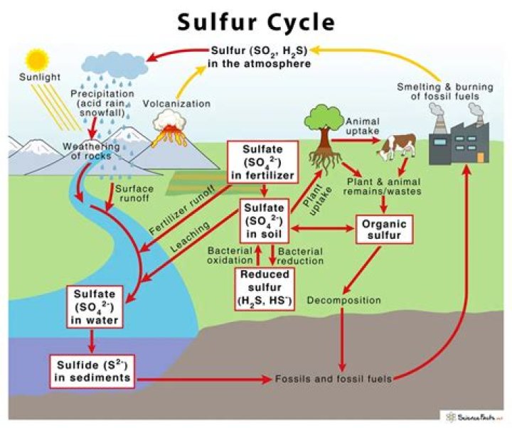 What is sulphur how is it useful to us?