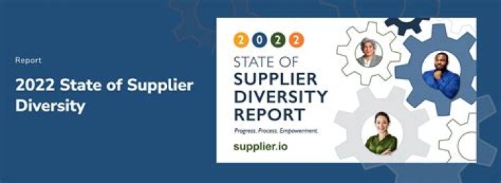 What is supplier diversity reporting?