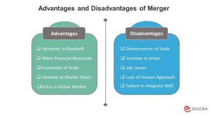 What is the advantage of merger?