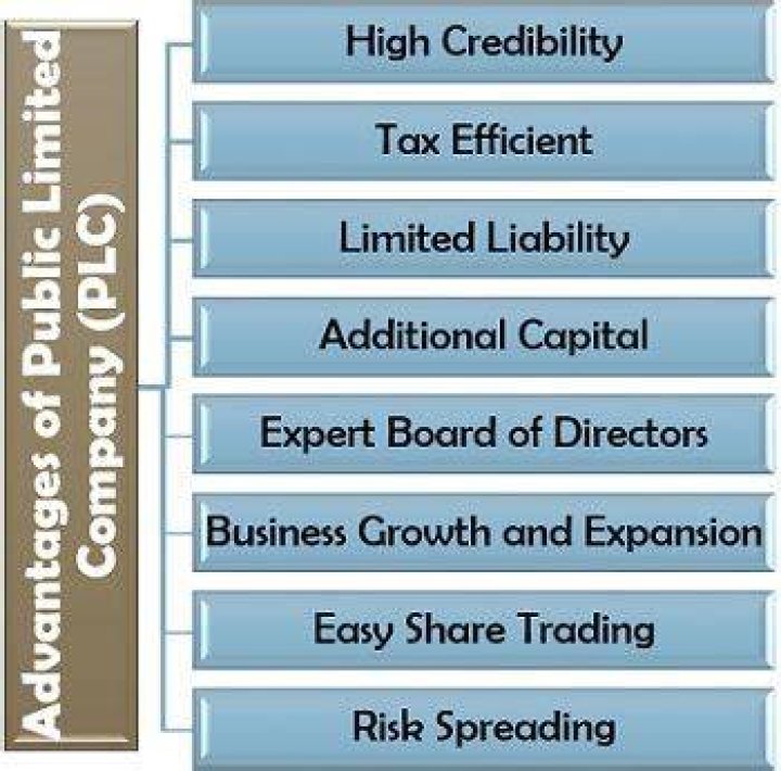 What is the advantages of public limited company?