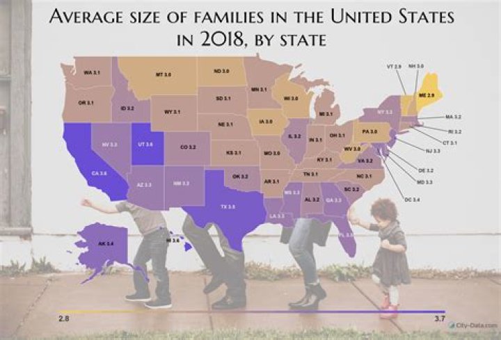 What is the average family size in 2020?