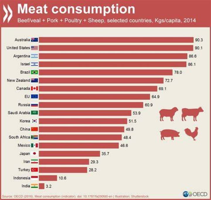 What is the average meat consumption per day?