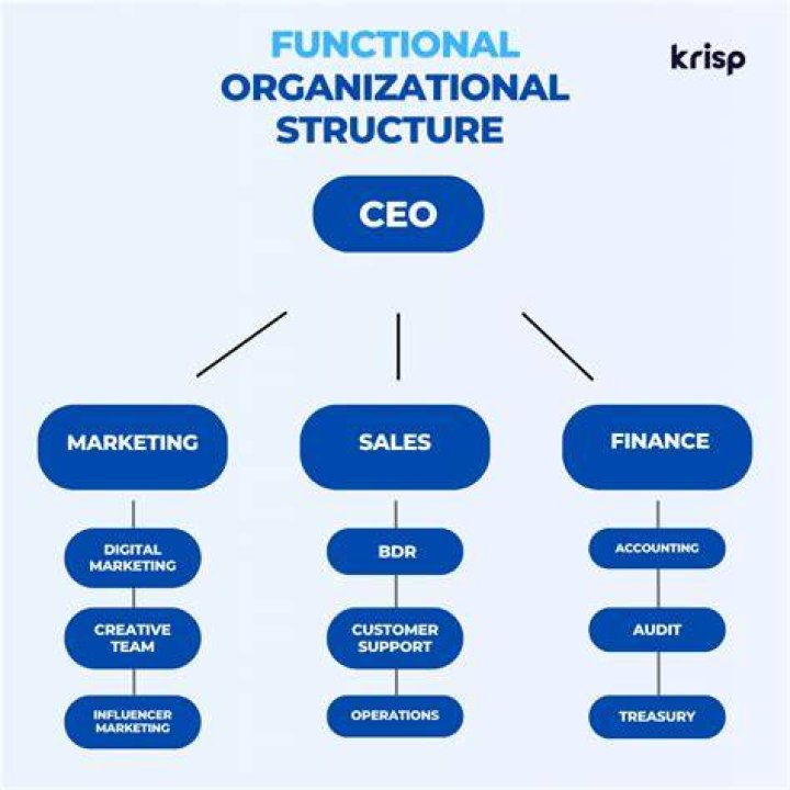 What is the best business organizational structure?