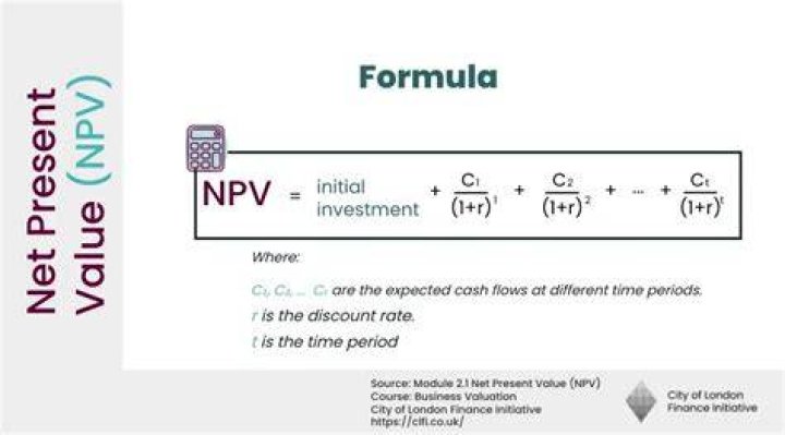 What is the best definition for NPV?
