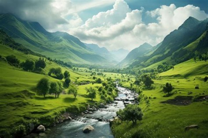 What is the best nature of business?
