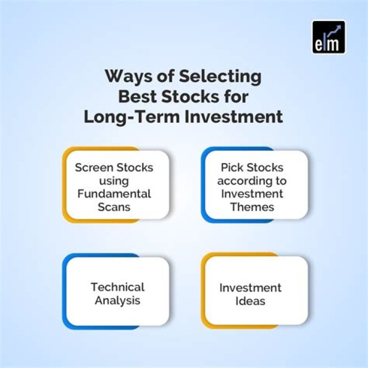 What is the best stock for long term investment?