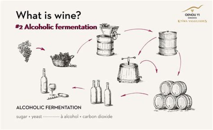 What is the best unfermented wine?