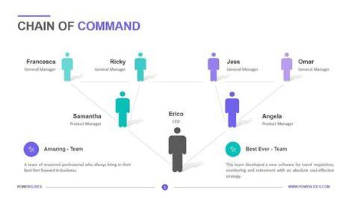 What is the chain of command in a business?