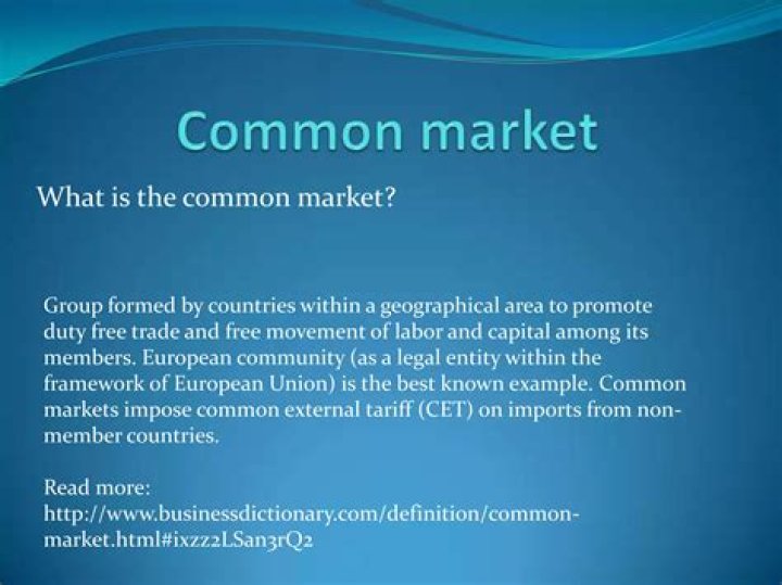 What is the Common Market of the South?