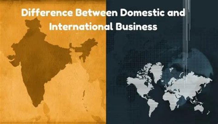 What is the definition of domestic business?