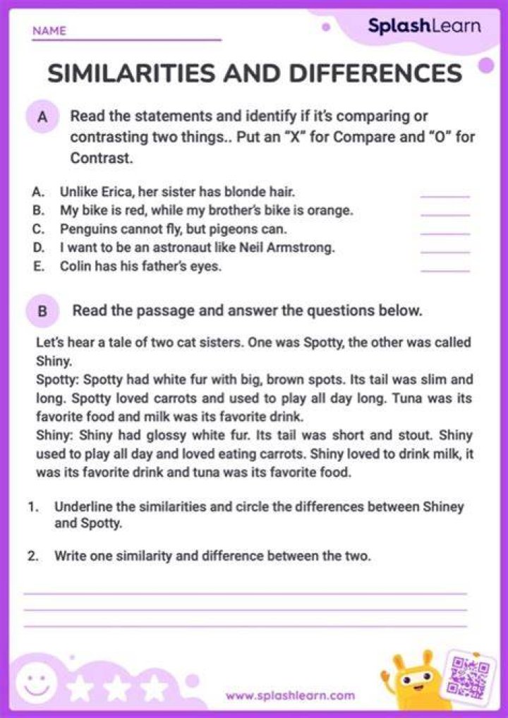 What is the difference between finding similarities and differences?
