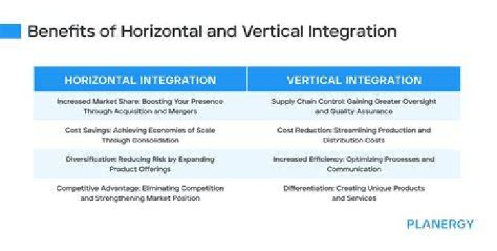 What is the difference between horizontal and vertical business?