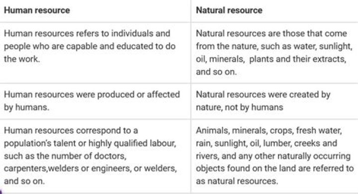 What is the difference between human resource and human resources?