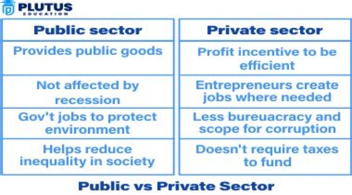 What is the difference between public sector and private sector class 10?