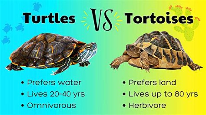 What is the difference between the profits?