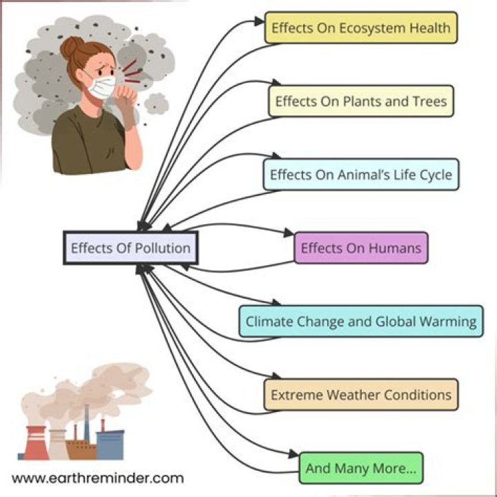 What is the effect of industry on environment?