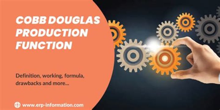 What is the equation of Cobb-Douglas production function?
