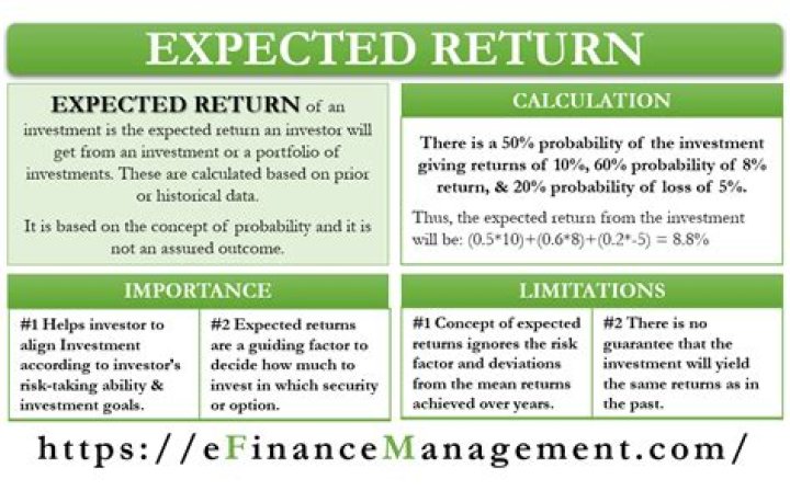 What is the expected return of the stock investment?