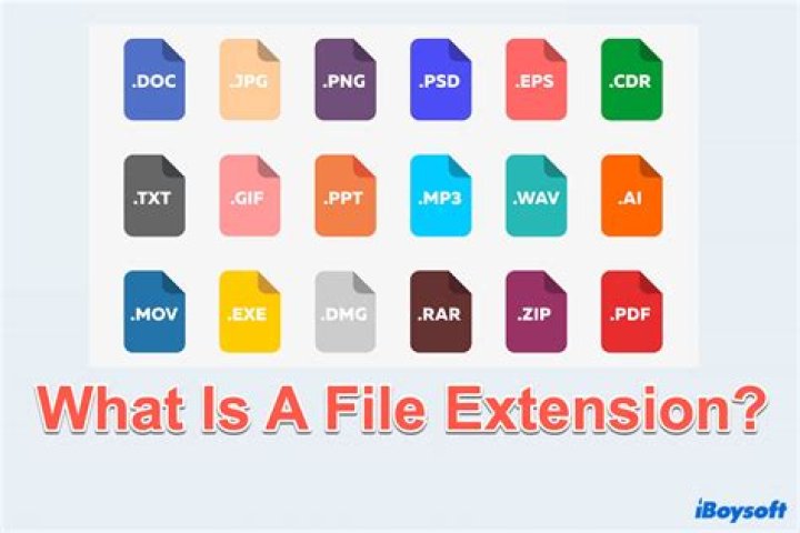 What is the extension of DOC?