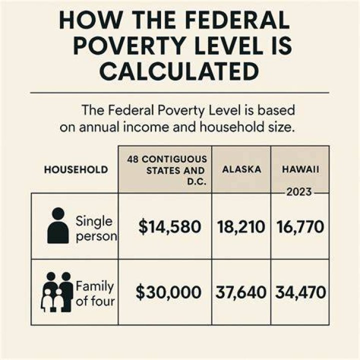 What is the federal poverty level percentage?