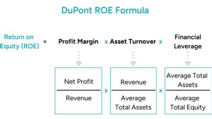 What is the formula of DuPont based ROE calculation?