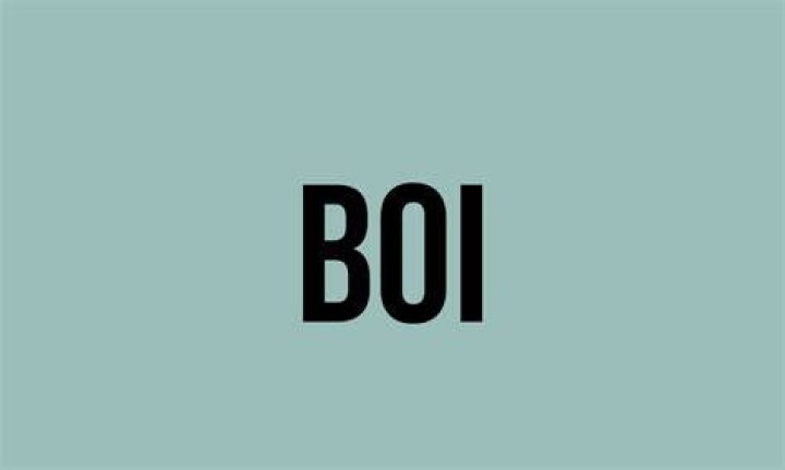 What is the full meaning of boi?