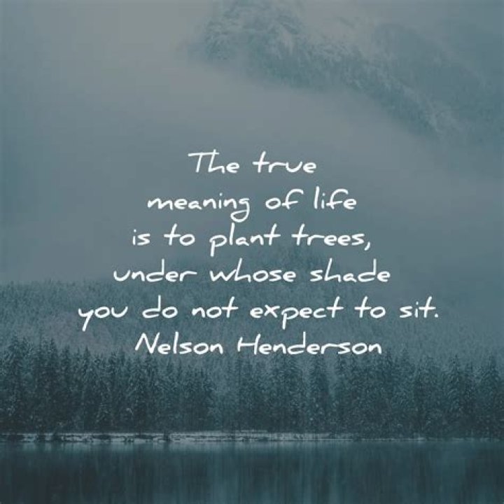 What is the full meaning of expect?