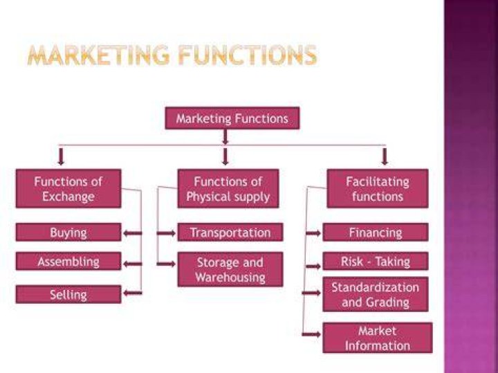 What is the general purpose of the marketing functions?