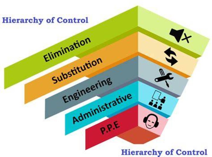 What is the hierarchy of sales manager?