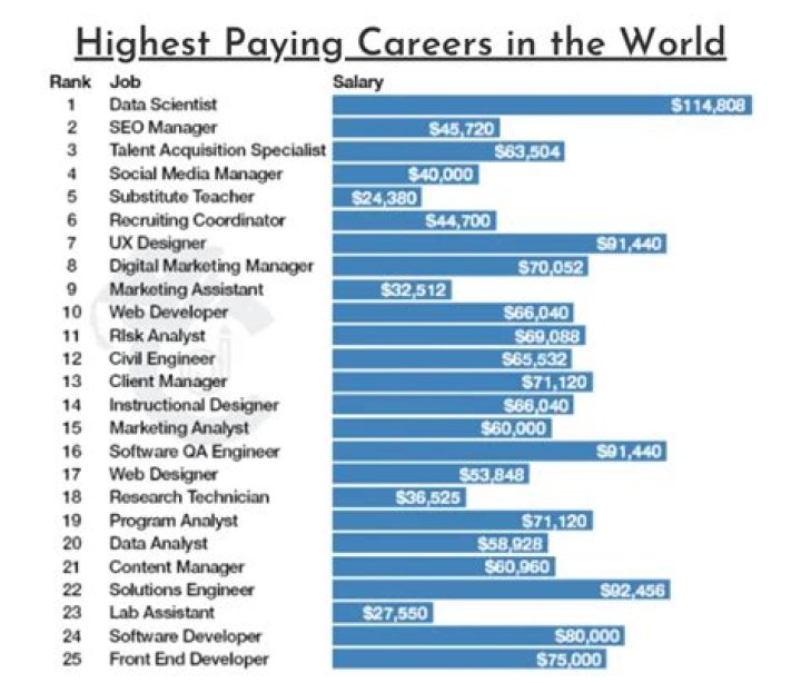 What is the highest paid job in the world?