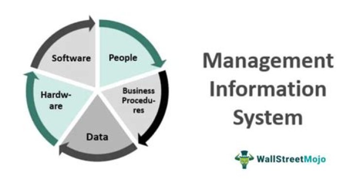 What is the impact of management information system on business?