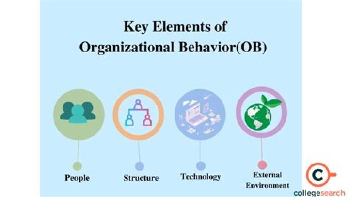 What is the importance OB in an organization?