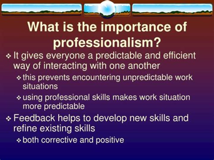 What is the importance of professionalism?
