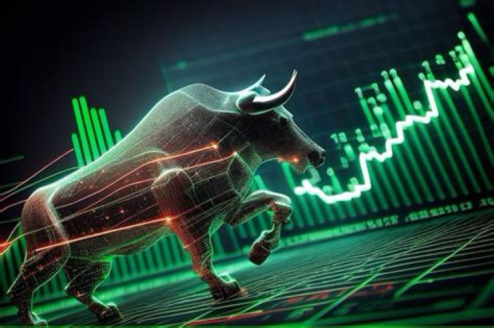 What is the importance of the stock market to the economy?