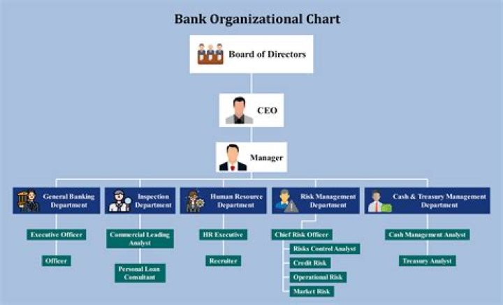 What is the internal Organisation of commercial bank?