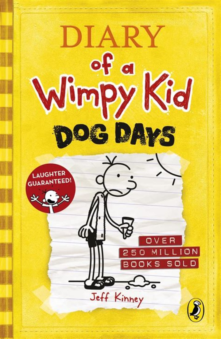 What is the main plot of Diary of a Wimpy Kid Dog Days?
