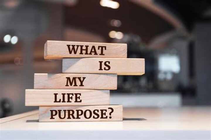 What is the main purpose of an office?