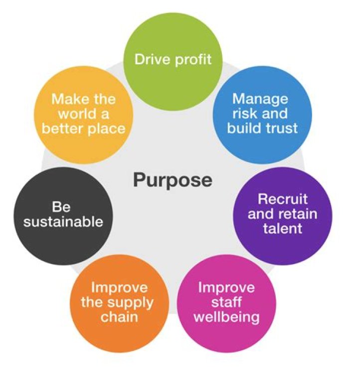 What is the main purpose of regulation?