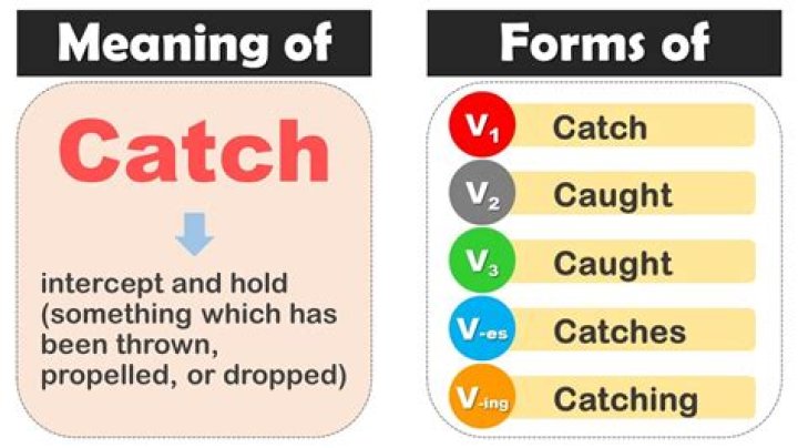 What is the meaning of catch up effect?