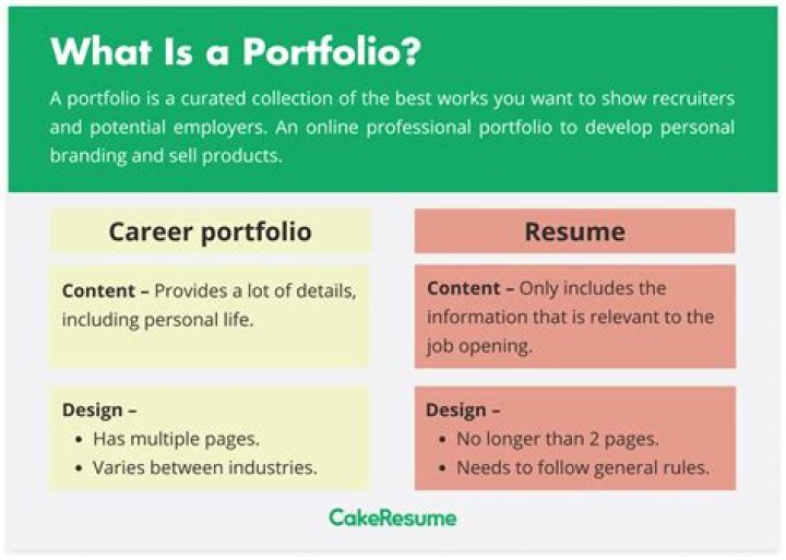 What is the meaning of portfolio company?