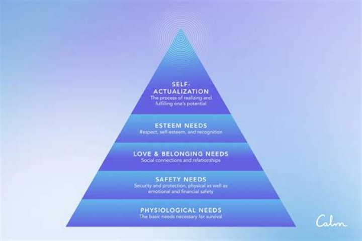 What is the meaning of self-actualization needs?