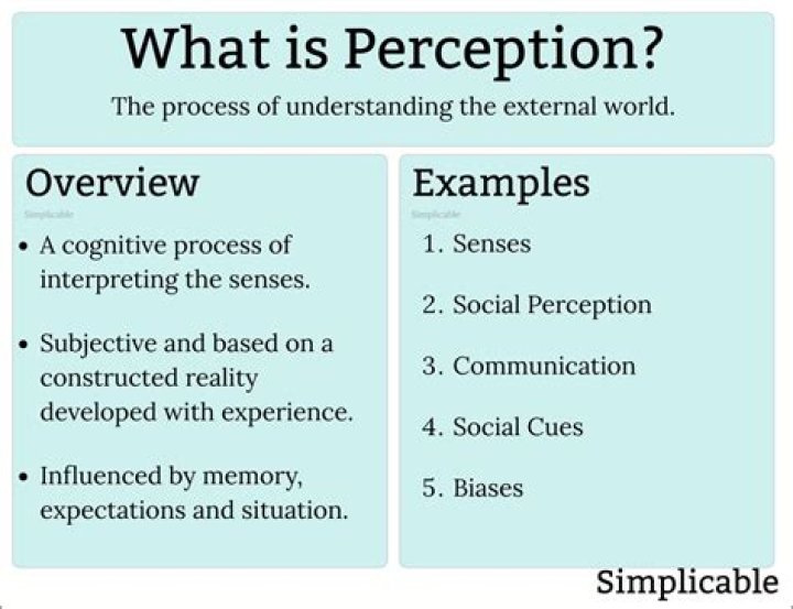 What is the meaning of self-perception?